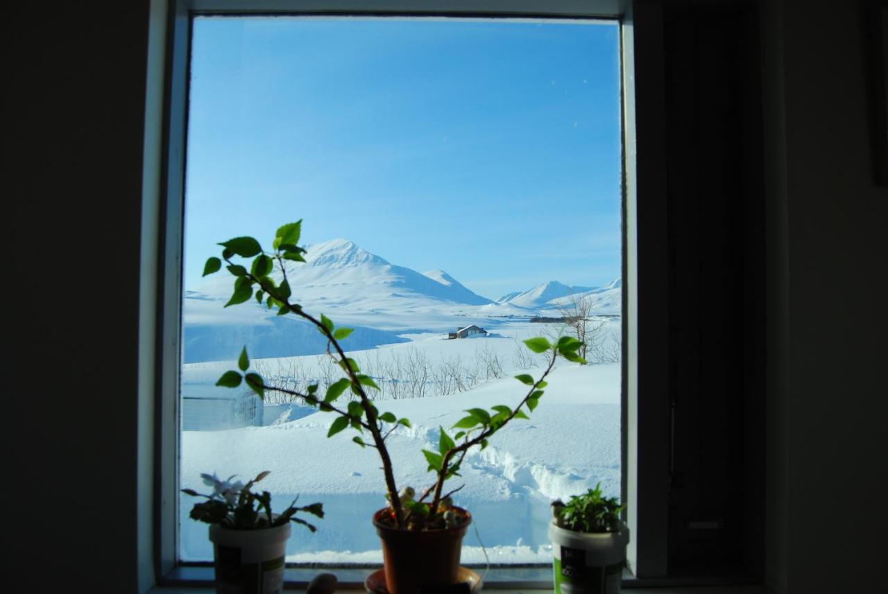 L&L Bnb - Stay'In Arbakki Arskogssandur Dış mekan fotoğraf